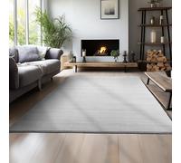 Teppium Tapis Salon Moderne Tapis Chambre Argent 240 x 340 cm - Tapis à Poils Courts, a Poil Ras, Unicolor - Monochrome Moelleux et Doux - Tapis Cuisine Moquette Salle de Sejour