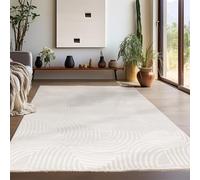 Teppium Tapis Salon Moderne Tapis Chambre Nature 120 x 170 cm - Tapis à Poils Courts, Effet 3D Style Scandinave, Motif bohème scandinave Moelleux et Doux - Tapis Cuisine Moquette Salle de Sejour