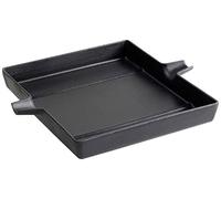 Tepro Insert carré en Fonte - Environ 28 x 23,5 cm - en Fonte - Compatible avec Le système de Rouille carré