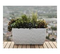 TERA Bac à plantes 'Petram 80', slade stone