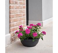 TERA Bol à fleurs 'Ebla', diamètre: 600 mm, anthracite