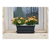 TERA Jardinière 'Nara', largeur: 1.000 mm, anthracite