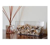 TERA Pot de fleurs 'Coimbra 30', transparent