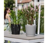 TERA Pot de fleurs 'Orione', diamètre: 240 mm, blush