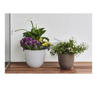 Pot de fleurs - Teraplast - Re-Pot Over 38 - Brun - Plastique - 38 cm - Rond - Avec réserve d'eau - Percé