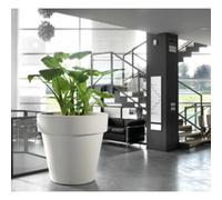 TERA Pot de fleurs 'Standard One 50', antracite
