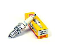 TERAM LOISIRS Bougie Allumage NGK DCPR8E NEUF FRANCE