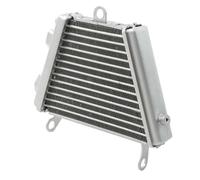 TERAM LOISIRS Radiateur Huile compatible pour Suzuki GSXR 1000 de 2009 2010 2011 2012 2013 2014 2015 2016 NEUF FRANCE