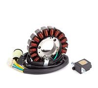 TERAM LOISIRS Stator Allumage compatible pour HONDA TRX 300 FourTrax 300 de 1988 1989 1990 1991 1992 1993 1994 1995 1996 1997 1998 1999 2000 NEUF FRANCE