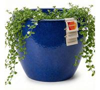 teramico Pot de Fleurs de qualité supérieure en céramique émaillée, 100% résistant au Gel et Fait à la Main, bac à Fleurs avec Trou (Bleu Roi, 29cm x 23cm)