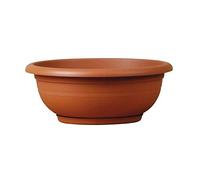 TERAPLAST Bol Polypropylène avec sous Plaque Cuite Tasse Cm 50 pour Cuisine