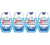 Teraxyl - Dentifrice - Fraicheur Menthe - Flacon 75 ml - Lot de 4