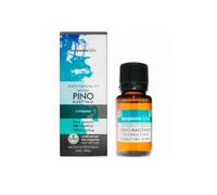 Térébenthine Marine Pine Bio 10ml Huile Essentielle Terpénique 10ml