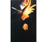 Terence Trent D'arby - N.F.N.F