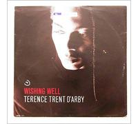 TERENCE TRENT D'ARBY - WISHING WELL