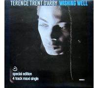 TERENCE TRENT D'ARBY - Wishing Well [Import]