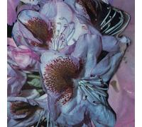 Teresa Winter - Proserpine [Vinyl Lp]