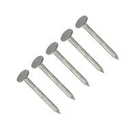 TERF® Lot de 100 clous galvanisés 50 mm x 3,35 mm à grande tête pour toiture, bricolage et artisanat, décoration d'intérieur, menuiserie, meubles et construction