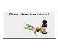 Tergum Maximum N, Le Sérum de Nuit avec Une Plus Grande Capacité antioxydant du marché : 1800 Fois supérieure à la Vitamine C. certifié par Le csic.