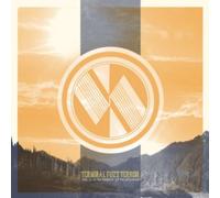 Terminal Fuzz Terror - Vol. 0: In The Shadow Of The Mountain [Vinyl Lp]