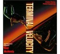 Terminal Velocity