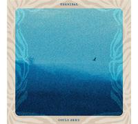 Terminal Vinyle