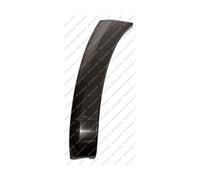 terminale Sinistro Paraurti Anteriore