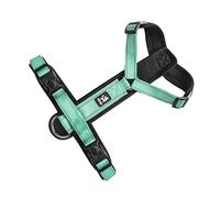 TERNCOEW Corde de traction pour animal domestique avec coutures réfléchissantes pour chien ou chaton de grande taille