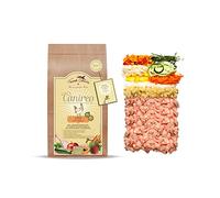 Terra Canis Poulet, légumes, Fruits & Farine de Noix de Coco - Canireo Croquettes, 2,5kg I Aliment pour Chien 1re qualité, 100% aux Standards de l’Alimentation Humaine I 64% de Viande fraîche
