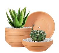 Laergin Lot de 6 Pots en Terre Cuite Peu Profonds en Terre Cuite avec Trou de Drainage en Terre Cuite avec Trou de Drainage, Pots de Fleurs en céramique pour Plantes d'intérieur/extérieur 16 cm