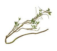 Terra Della, Branche végétale épaisse Vert, Branche décorative en Plastique, Idéale pour Les Reptiles et Amphibiens arboricoles, Agrandit l'espace de Vie, Pliable, Longueur Totale 130 cm