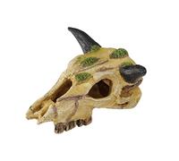 Terra Della, Crâne caraboa XS XS - 12 cm Fabriqué en résine de Polyester de qualité supérieure, Inoffensif et ne se décolore Pas, avec abri & mangeoire, Extrêmement détaillé, Fonctionnel et décoratif