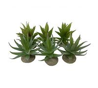 Terra Della, Plante réaliste pour Terrarium Aloë, Couleurs aléatoires, Fabriqué en résine de Polyester de qualité, Look réaliste, Pied Solide en résine synthétique, Extrêmement décorative