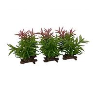 Terra Della, Plante réaliste pour Terrarium Crassula, Couleurs aléatoires, Fabriqué en résine de Polyester de qualité, Look réaliste, Pied Solide en résine synthétique, Extrêmement décorative