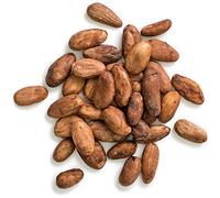 Terra Elements Fèves de cacao criollo bio 200 g I 100% pure I vegan I qualité crue