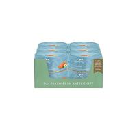 TERRA FELIS Saumon - Nourriture Humide monoprotéine - 12 x 80 g - Nourriture pour Chat de qualité supérieure - 100% qualité Alimentaire - Haute Acceptation - 90% de Viande - sans céréales - Aliment