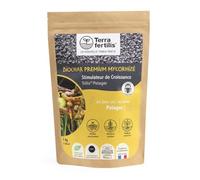 TERRA FERTILIS - Fertilisant Plantes spécial Potager - à base de Biochar Mycorhizé - Augmente la production et améliore la résistance des légumes - Réduit les besoins d’engrais et d'arrosage - Sac 1kg