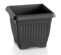 Terra H20 Pot de fleurs, pour plantes, utilisation en intérieur et extérieur, carré noir, style classique, en plastique, pour balcon, couleur gris anthracite, 7 L, 24 x 24 x 20 cm