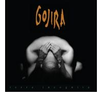 Terra Incognita