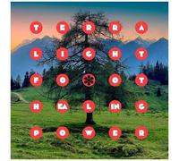 Terra Lightfoot - Healing Power [Vinyl Lp] Canada - Import