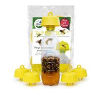 Terra Nostra Piège à Guêpes, Frelons, Mouches des Fruits, Mouches de l’Olivier - Lot de 5 Tap Trap Économiques avec Recettes d’Appâts Incluses
