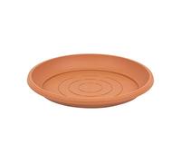 Terra Soucoupe pour Pot de Fleurs, Terre Cuite, 33 cm