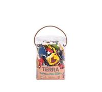 Terra Tub De Poissons Tropicaux Multicolore