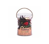 Terra Tub Des Insectes