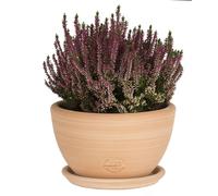 TERRABLANCA-Coupe Cuenco lisse en terre cuite - D21x H12