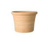 TERRABLANCA-Pot Cocio Liso en terre cuite claire D53x H37