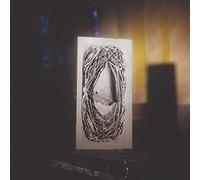 Terrain a Mire - une Maison Retine - Contrainte par le Toit (Vinyl)