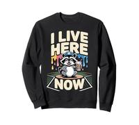 Terrain de Baseball Raccoon Ballfield Ice Cream Je vis Ici Maintenant Sweatshirt