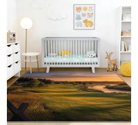 Terrain Sportif Clôture en Bois Lac Douce Tapis de Salon 160 x 230 cm, Lavable en Machine Antidérapant Moderne Photographie Poil Ras Tapis, pour Cuisine Salle à Manger Chambre, Multicolore