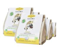 TERRAMOKA - 160 Dosettes Compatibles avec Senseo Café Bio d’excellence (10 * 16) - 100% Pur Arabica d'Éthiopie - Subtil, Fruité et Engagé - Home Compost - Oscar - Torréfié en France